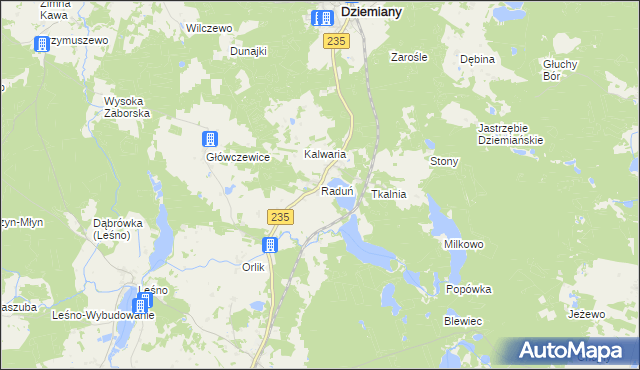 mapa Raduń gmina Dziemiany, Raduń gmina Dziemiany na mapie Targeo