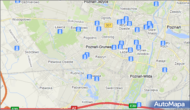 mapa Raszyn gmina Poznań, Raszyn gmina Poznań na mapie Targeo
