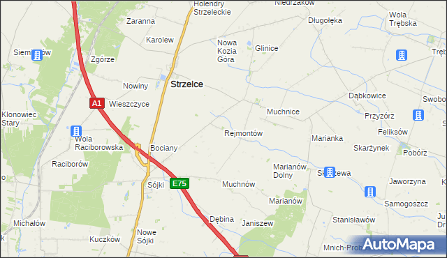 mapa Rejmontów, Rejmontów na mapie Targeo