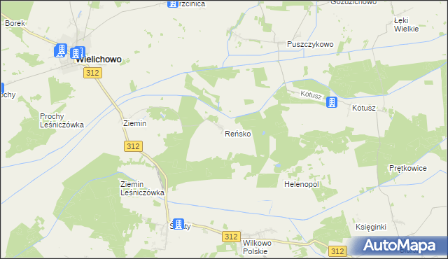 mapa Reńsko gmina Wielichowo, Reńsko gmina Wielichowo na mapie Targeo