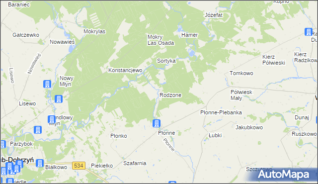 mapa Rodzone gmina Radomin, Rodzone gmina Radomin na mapie Targeo