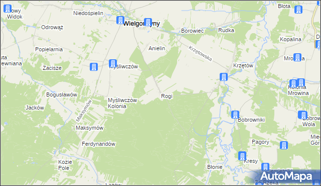 mapa Rogi gmina Wielgomłyny, Rogi gmina Wielgomłyny na mapie Targeo