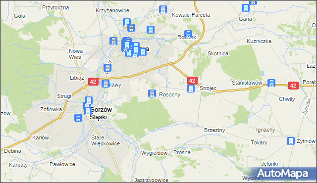 mapa Rosochy gmina Praszka, Rosochy gmina Praszka na mapie Targeo