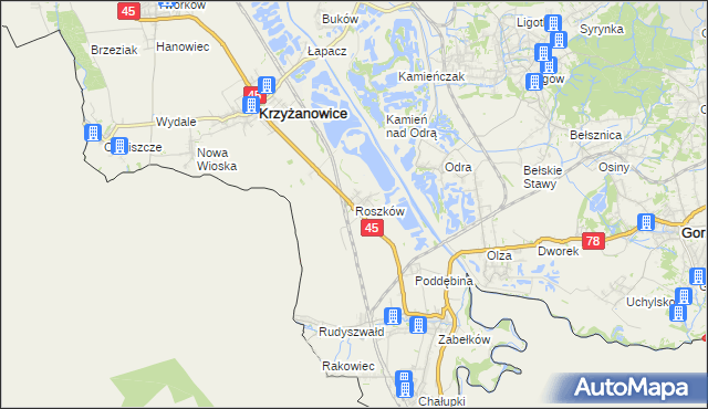 mapa Roszków gmina Krzyżanowice, Roszków gmina Krzyżanowice na mapie Targeo