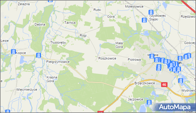mapa Roszkowice gmina Niemodlin, Roszkowice gmina Niemodlin na mapie Targeo