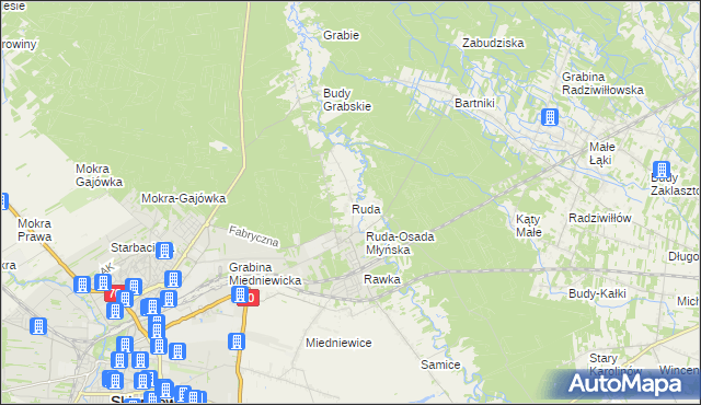 mapa Ruda gmina Skierniewice, Ruda gmina Skierniewice na mapie Targeo