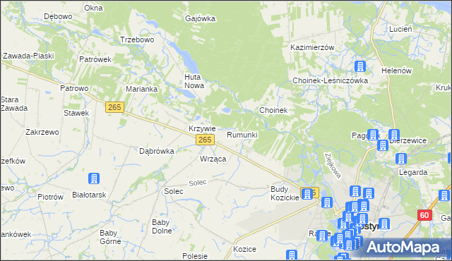 mapa Rumunki gmina Gostynin, Rumunki gmina Gostynin na mapie Targeo