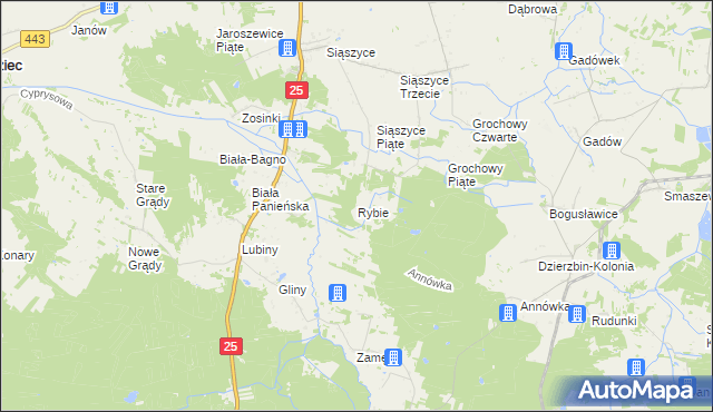 mapa Rybie gmina Rychwał, Rybie gmina Rychwał na mapie Targeo