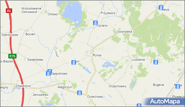 mapa Ryńsk, Ryńsk na mapie Targeo