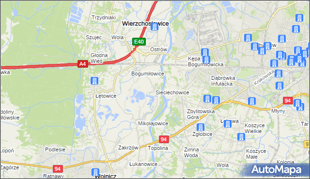 mapa Sieciechowice gmina Wierzchosławice, Sieciechowice gmina Wierzchosławice na mapie Targeo