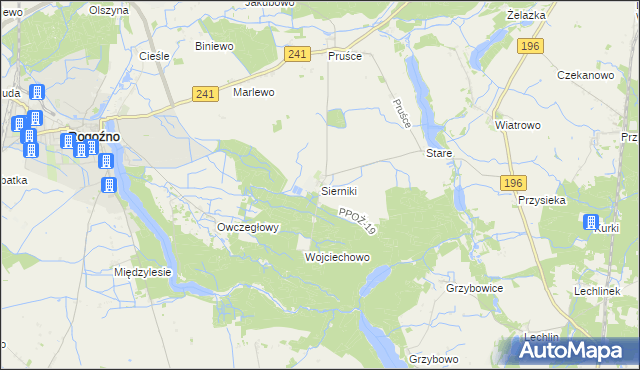 mapa Sierniki gmina Rogoźno, Sierniki gmina Rogoźno na mapie Targeo