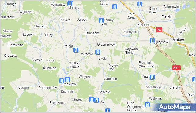 mapa Skoki gmina Mniów, Skoki gmina Mniów na mapie Targeo