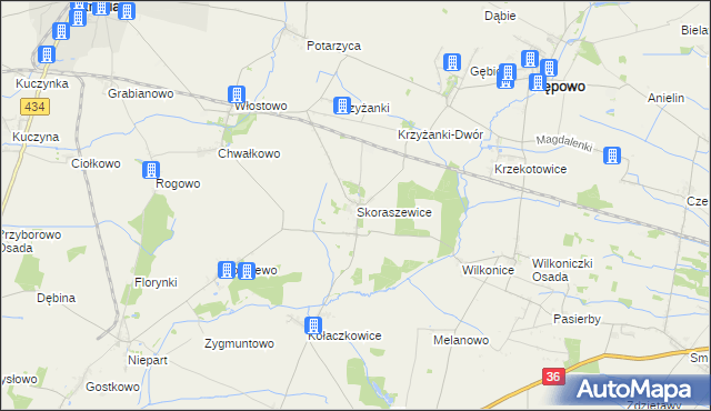 mapa Skoraszewice, Skoraszewice na mapie Targeo