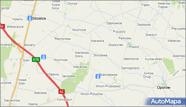 mapa Skórzewa, Skórzewa na mapie Targeo