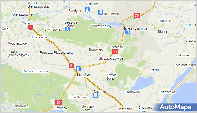 mapa Skrzypaczowice, Skrzypaczowice na mapie Targeo