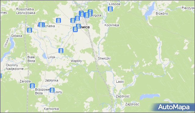 mapa Śliwiczki, Śliwiczki na mapie Targeo