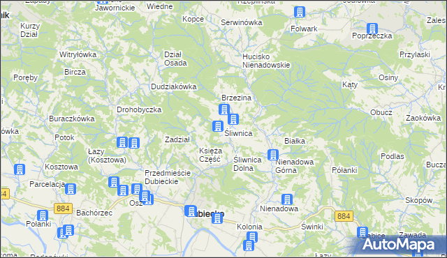 mapa Śliwnica gmina Dubiecko, Śliwnica gmina Dubiecko na mapie Targeo