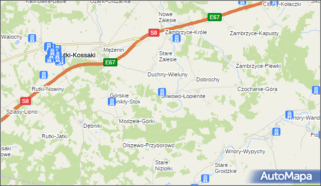 mapa Śliwowo-Łopienite, Śliwowo-Łopienite na mapie Targeo