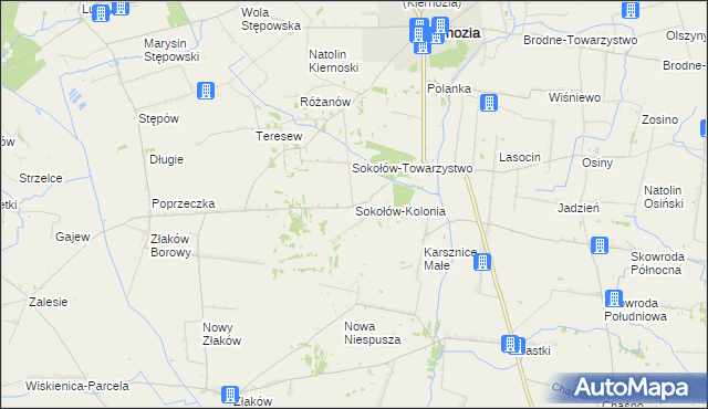 mapa Sokołów-Kolonia, Sokołów-Kolonia na mapie Targeo