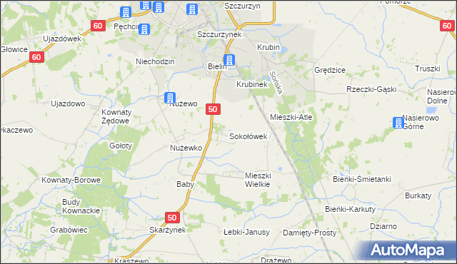 mapa Sokołówek gmina Ciechanów, Sokołówek gmina Ciechanów na mapie Targeo