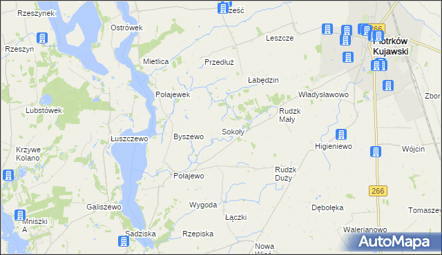 mapa Sokoły gmina Piotrków Kujawski, Sokoły gmina Piotrków Kujawski na mapie Targeo