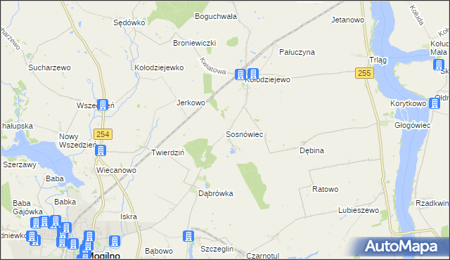 mapa Sosnowca, Sosnówiec na mapie Targeo