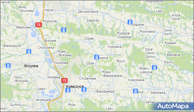 mapa Sowina gmina Kołaczyce, Sowina gmina Kołaczyce na mapie Targeo