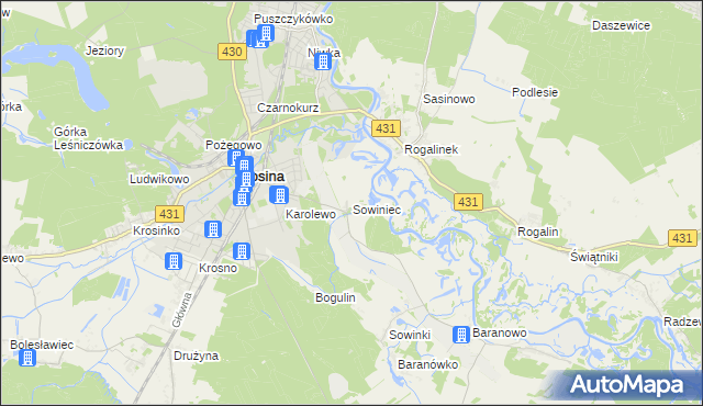 mapa Sowiniec gmina Mosina, Sowiniec gmina Mosina na mapie Targeo