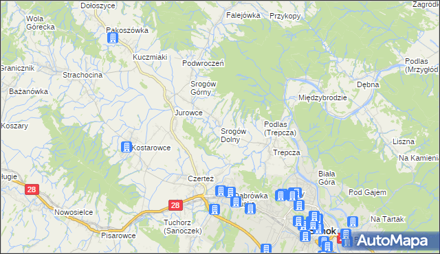 mapa Srogów Dolny, Srogów Dolny na mapie Targeo