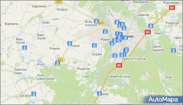 mapa Strzałki gmina Gostynin, Strzałki gmina Gostynin na mapie Targeo