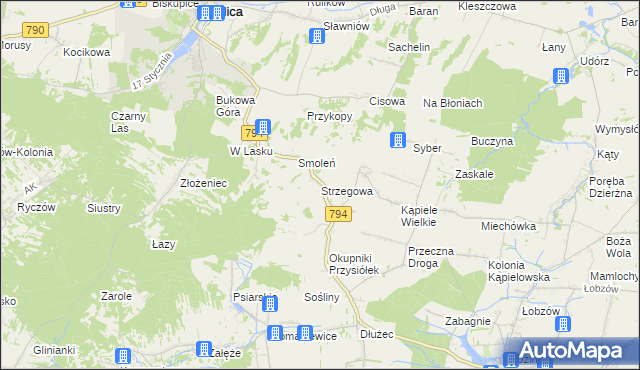 mapa Strzegowa gmina Wolbrom, Strzegowa gmina Wolbrom na mapie Targeo
