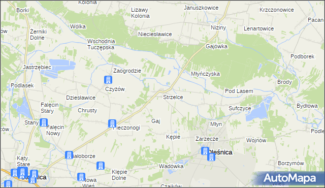 mapa Strzelce gmina Oleśnica, Strzelce gmina Oleśnica na mapie Targeo