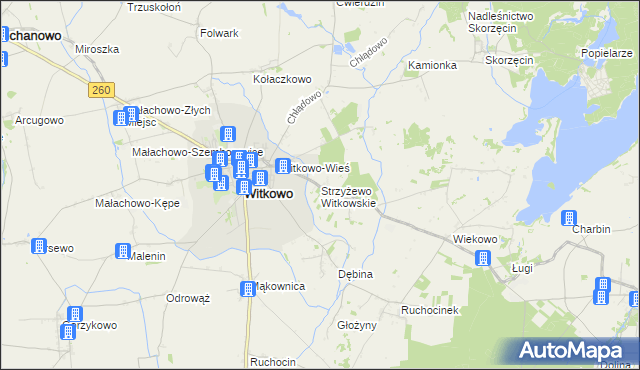 mapa Strzyżewo Witkowskie, Strzyżewo Witkowskie na mapie Targeo