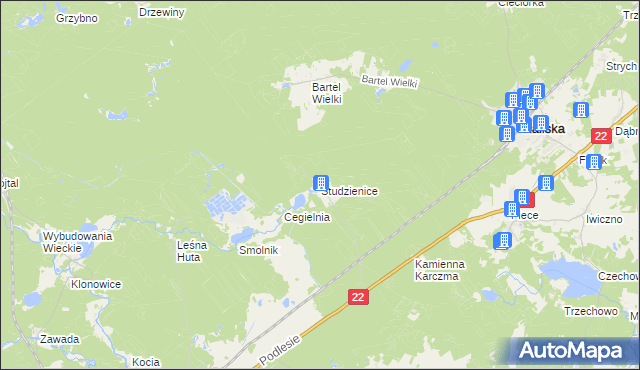 mapa Studzienice gmina Kaliska, Studzienice gmina Kaliska na mapie Targeo