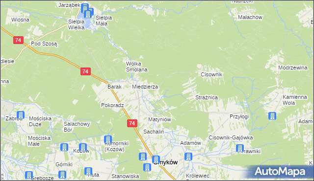 mapa Świnków gmina Smyków, Świnków gmina Smyków na mapie Targeo