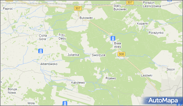 mapa Sworzyce gmina Grodzisk Wielkopolski, Sworzyce gmina Grodzisk Wielkopolski na mapie Targeo