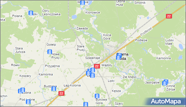 mapa Szyszkowiec, Szyszkowiec na mapie Targeo