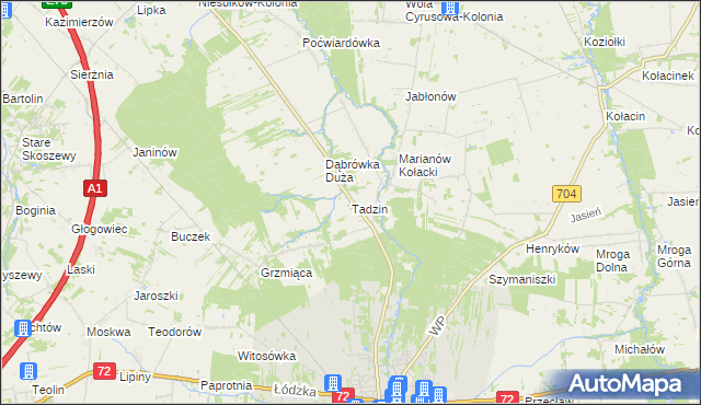 mapa Tadzin gmina Brzeziny, Tadzin gmina Brzeziny na mapie Targeo