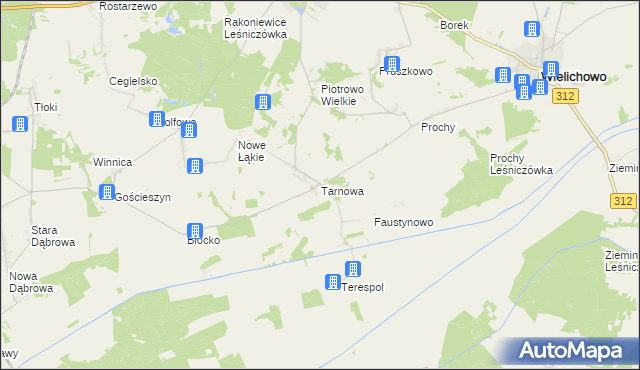 mapa Tarnowa gmina Rakoniewice, Tarnowa gmina Rakoniewice na mapie Targeo