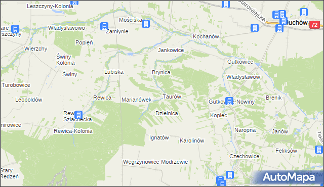 mapa Taurów, Taurów na mapie Targeo
