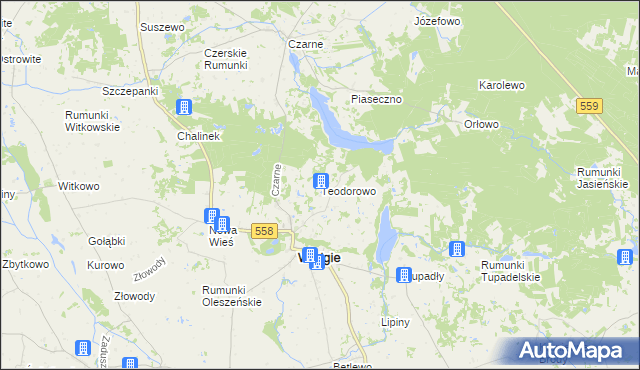 mapa Teodorowo gmina Wielgie, Teodorowo gmina Wielgie na mapie Targeo