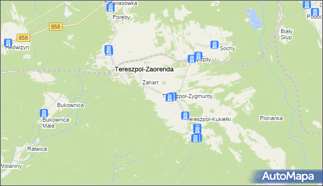 mapa Tereszpol-Zygmunty, Tereszpol-Zygmunty na mapie Targeo