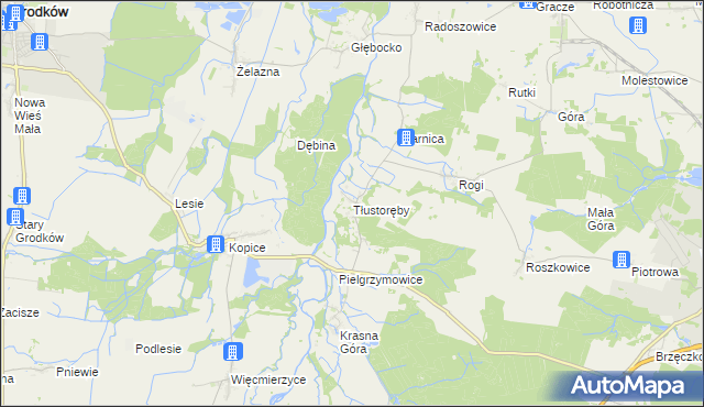 mapa Tłustoręby, Tłustoręby na mapie Targeo