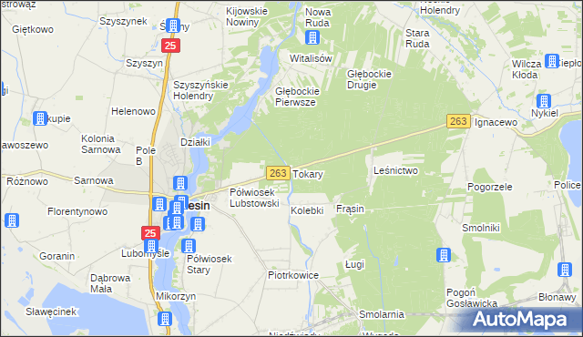 mapa Tokary gmina Ślesin, Tokary gmina Ślesin na mapie Targeo