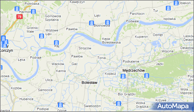 mapa Tonia gmina Bolesław, Tonia gmina Bolesław na mapie Targeo