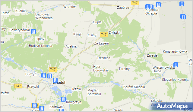 mapa Trzciniec gmina Chodel, Trzciniec gmina Chodel na mapie Targeo