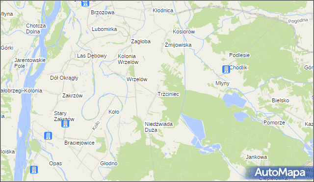 mapa Trzciniec gmina Łaziska, Trzciniec gmina Łaziska na mapie Targeo