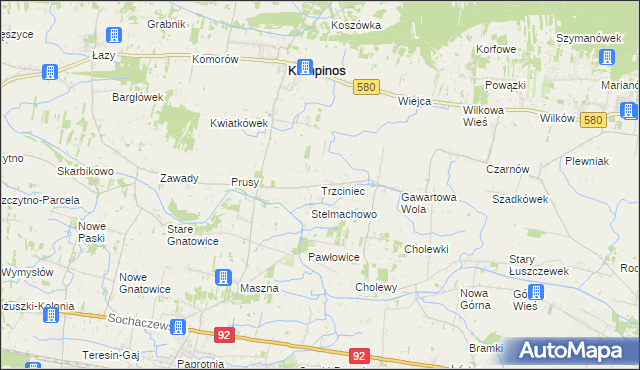 mapa Trzciniec gmina Leszno, Trzciniec gmina Leszno na mapie Targeo