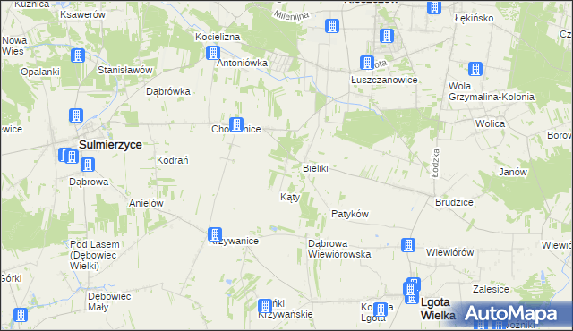 mapa Trzciniec gmina Sulmierzyce, Trzciniec gmina Sulmierzyce na mapie Targeo