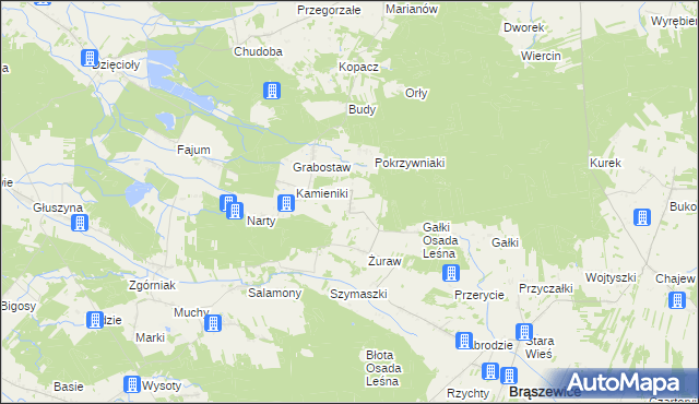 mapa Trzcinka gmina Brąszewice, Trzcinka gmina Brąszewice na mapie Targeo